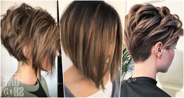 Besonders für alle Damen mit braunen Haaren! Sie sollten diese Blicke wirklich sehen!